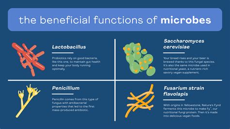 beneficial bacteria