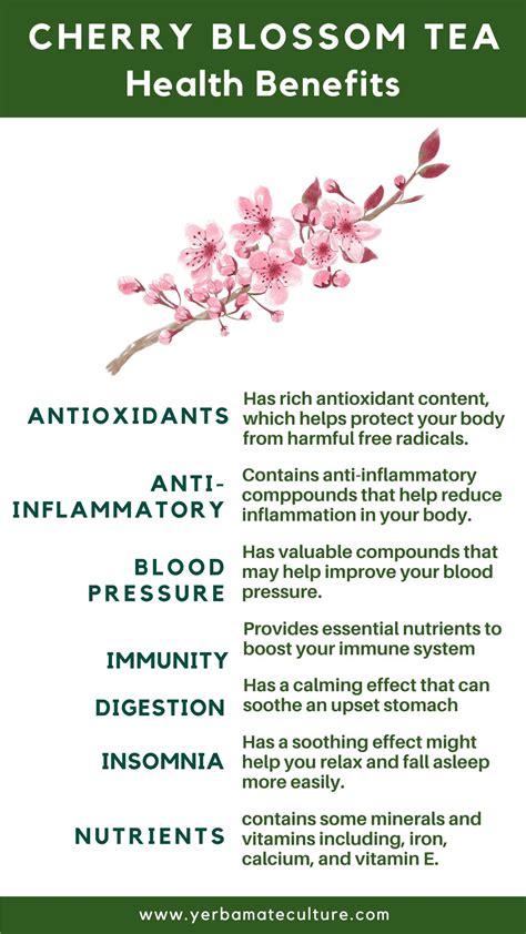 benefits of cherry tea