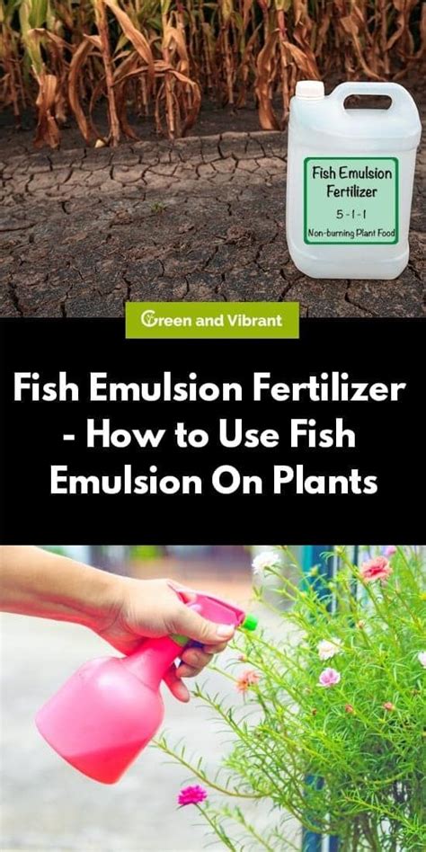 Benefits of Using Fish Emulsion Fertilizer