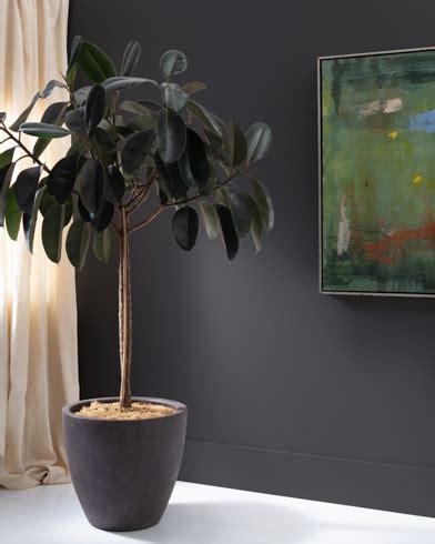 benjamin moore days end