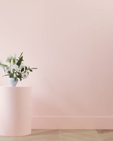 benjamin moore rose silk