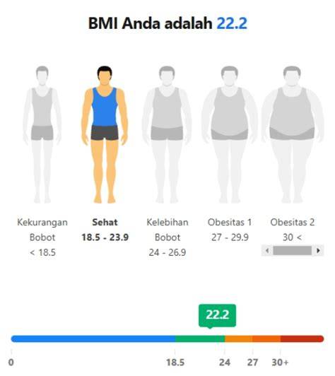 berat badan ideal