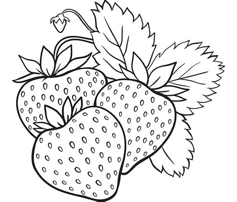 berry coloring pages