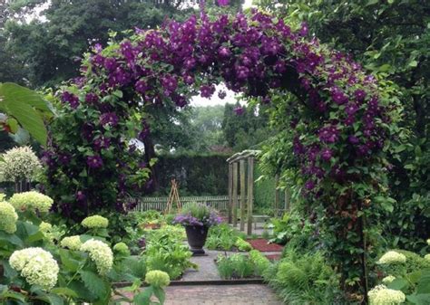 best clematis for garden arch