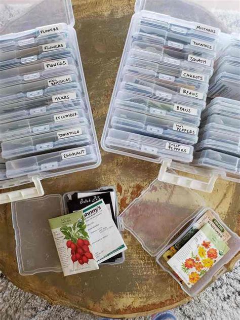 best container for storing seeds