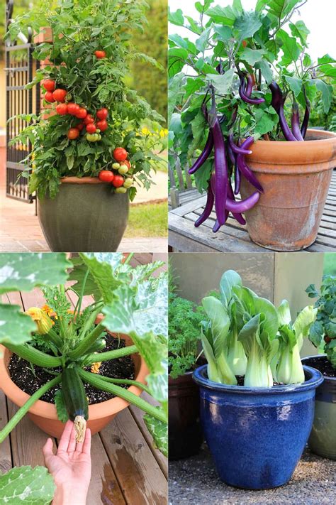 best containers for growing vegetables