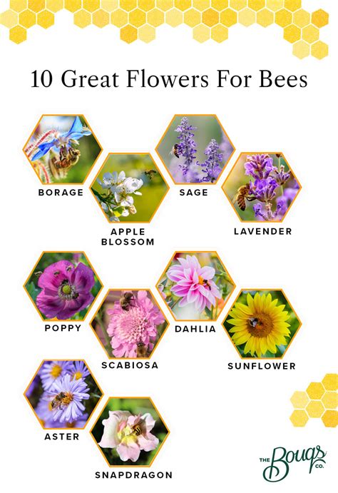 best flowers for bees