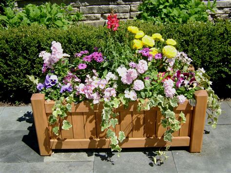 best flowers for planter boxes