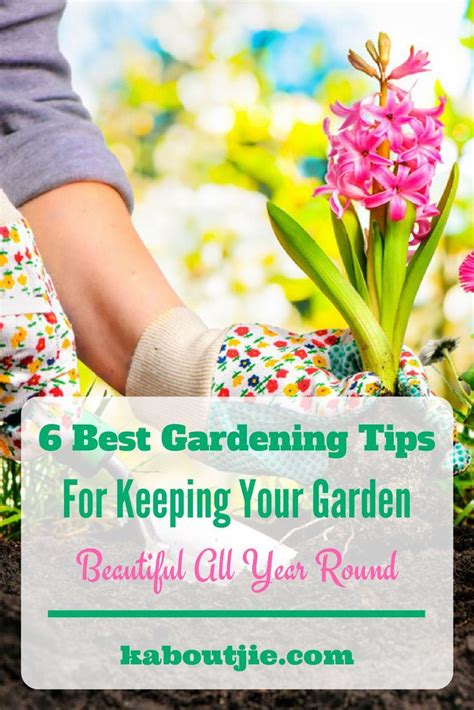 best gardening tips