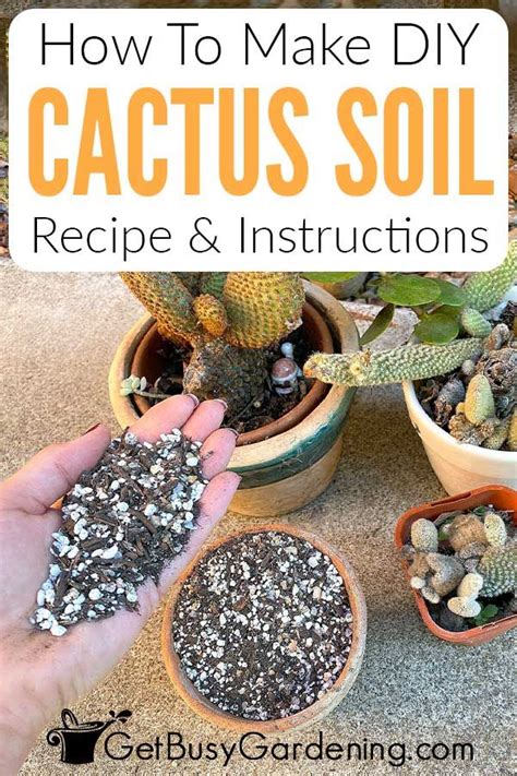 best mix for cactus