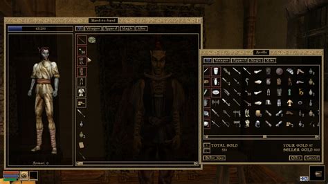 Best Morrowind Walkthrough