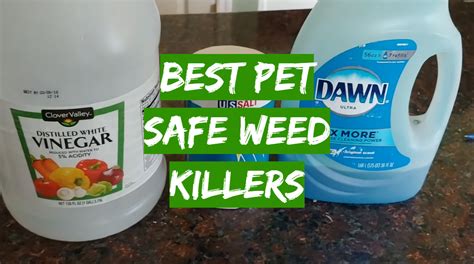 best pet friendly weed killer