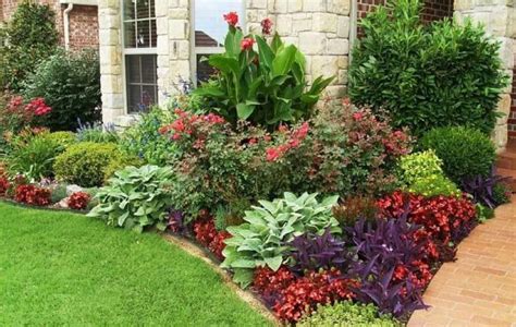 best plants for front of house
