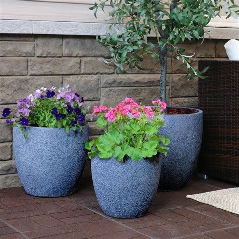 best plants for patio pots