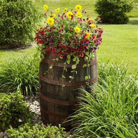 best plants for whiskey barrel planter