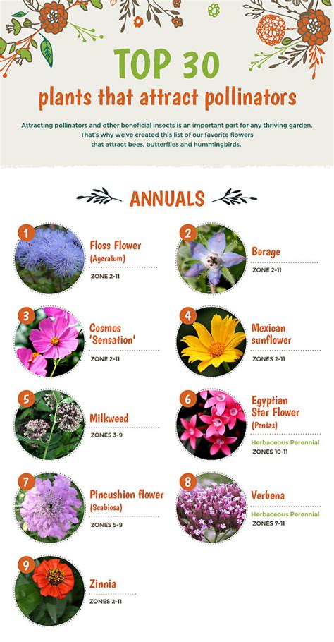 best plants to attract pollinators