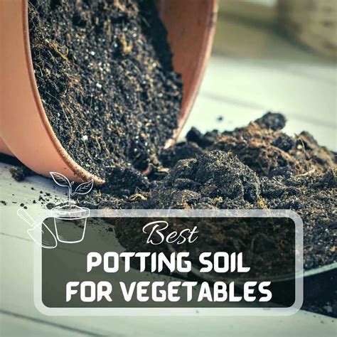 best potting soil for vegetables