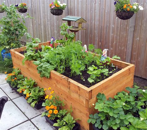 best soil for container vegetables