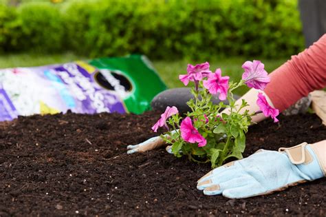 best soil for flower beds
