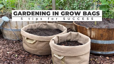 best soil for grow bags