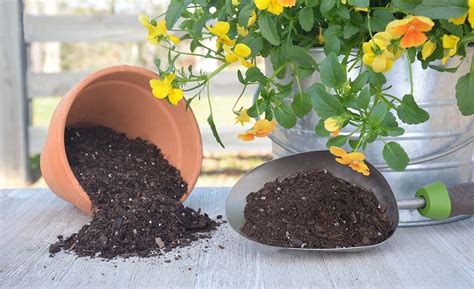 best soil for pots