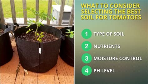 best soil for tomatoes in grow bags