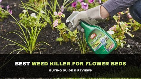 best weed control for flower beds