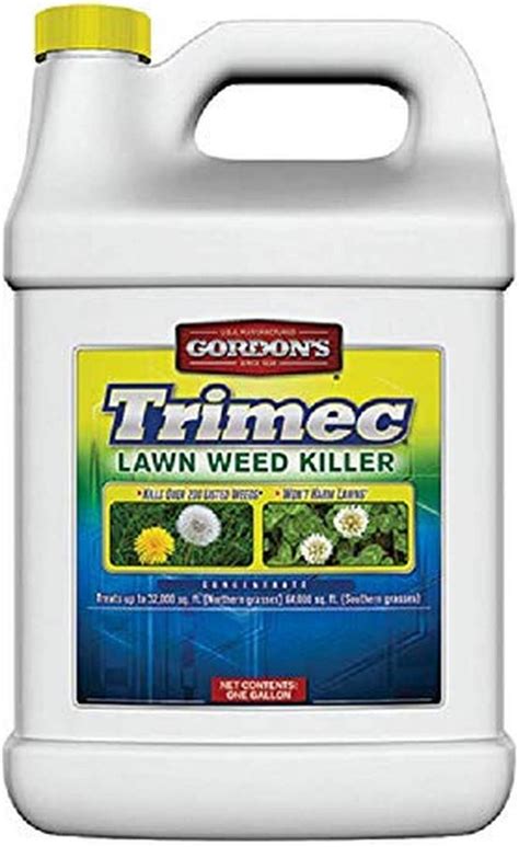 best weed killer for creeping charlie