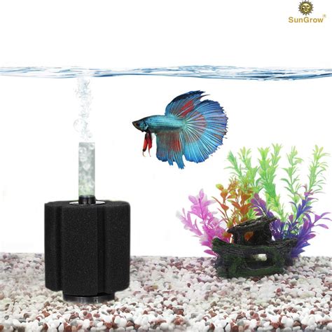 Different Types of Betta Fish Tank Filters