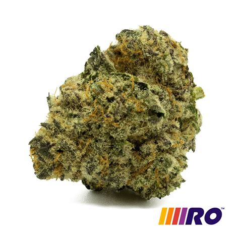 better biscuits strain