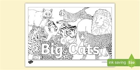 big cat colouring pages