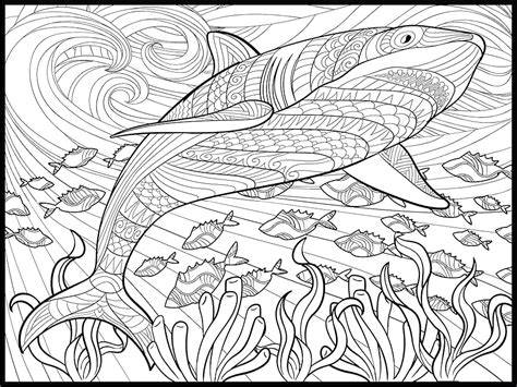 big coloring sheets for adults