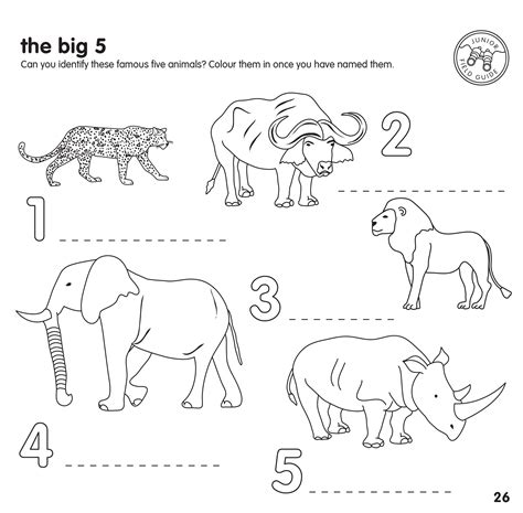 big five animals colouring pictures