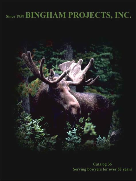 Bingham Projects Catalog