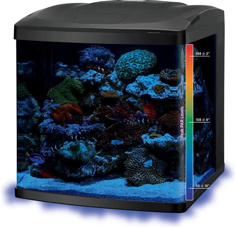 bio cube fish tank lighting