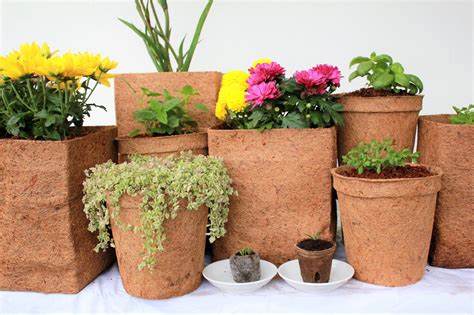 biodegradable plant pots