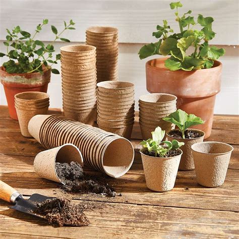 biodegradable plant pots