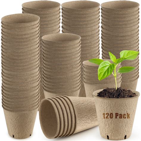 biodegradable pots for seedlings