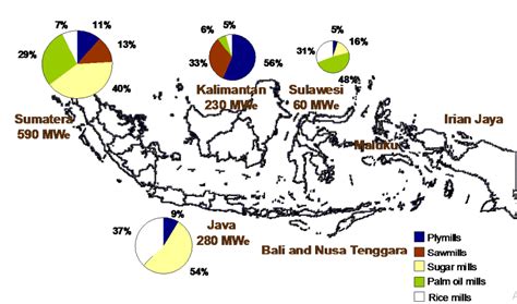 biomassa in indonesia