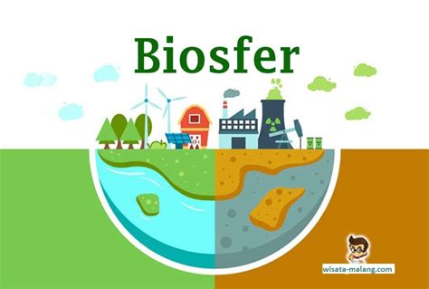 Biosfer