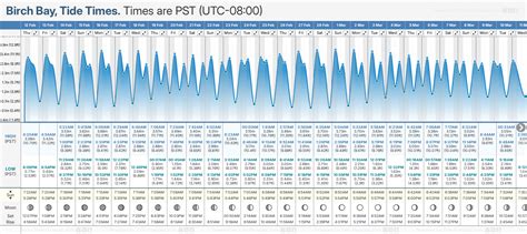 Birch Bay Tide Chart Today