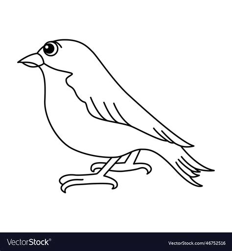 bird cartoon coloring