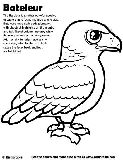 birdorable coloring pages
