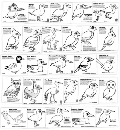 birdorable coloring pages