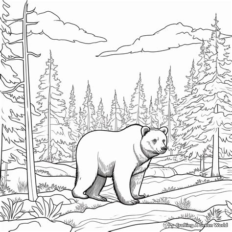 black bear coloring pages