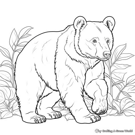 black bear coloring sheet