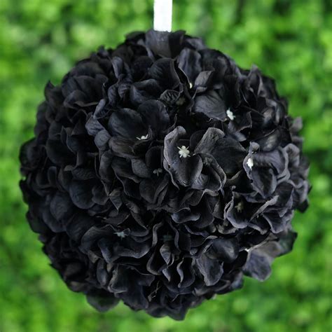 black hydrangea