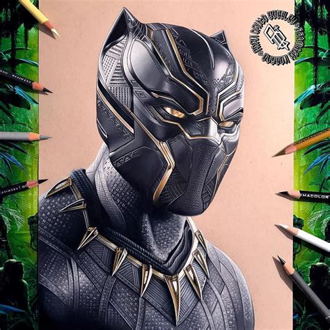 black panther drawing colour