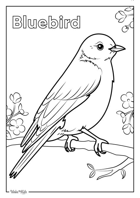 blue bird coloring pages