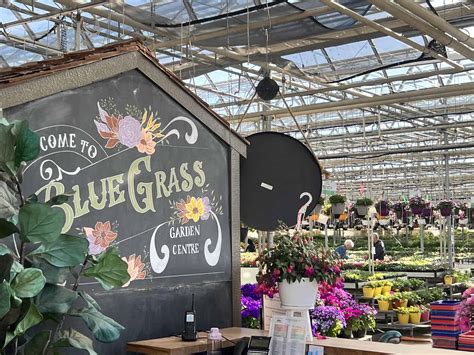 blue grass nursery